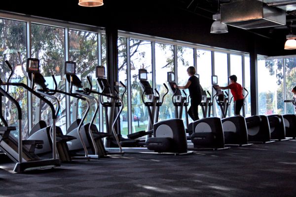 Gym_Cardio_Area_Overlooking_Greenery