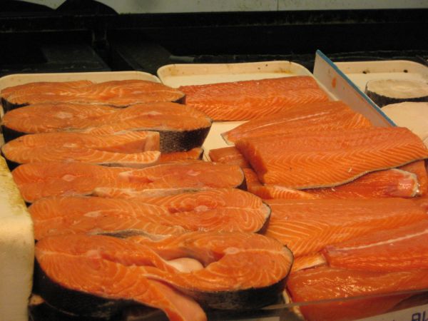 Salmon_Fish