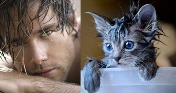 30 fotos de papasitos y gatitos que te enamorarán!