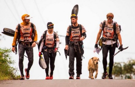 Descubre la increíble historia de este perro que conquistó los corazones de estos deportistas!