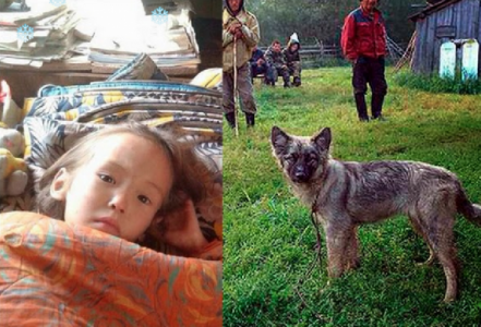 ¡Sorprendente! Niña de 3 años sobrevive 11 días en el bosque gracias a su perro