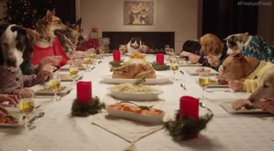 ¡No te pierdas esta cena navideña de 13 perros y 1 gato! Graciosísimo!
