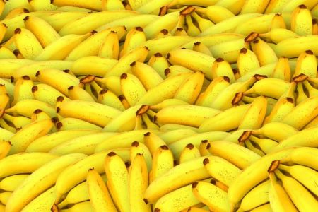 ¿Puede Bananacoin salvar el cultivo comercial favorito del mundo?