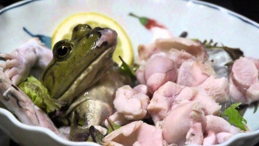 ¡Las 10 comidas más extrañas del mundo!