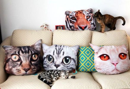 11 objetos increíbles para los amantes de los gatos