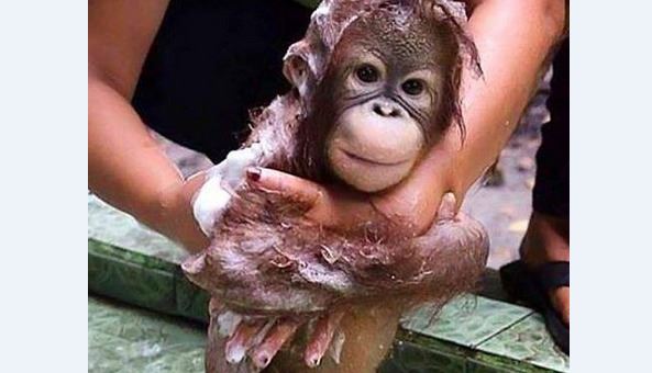Las 15 fotos más adorables de la red ¡Me derrito!