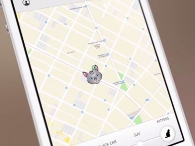 Uber te lleva gatitos para 15 minutos de abrazos en la oficina!
