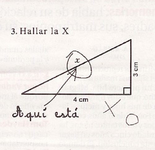 Las 29 respuestas de exámenes más ingeniosas y ridículas!