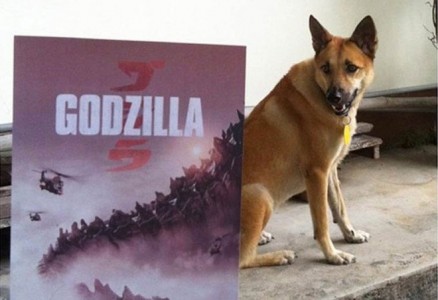 Los posters de películas que cambian la realidad ¡Muy divertido!