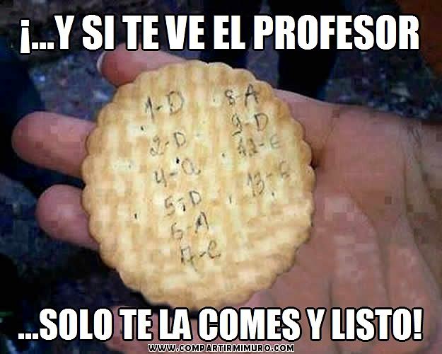 Galleta Copia