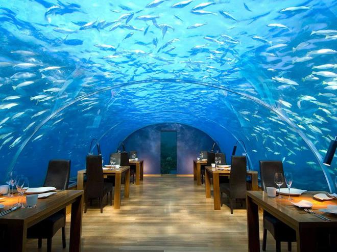 item0.rendition.slideshowWideHorizontal.ithaa-underwater-restaurant-conrad-maldives-L