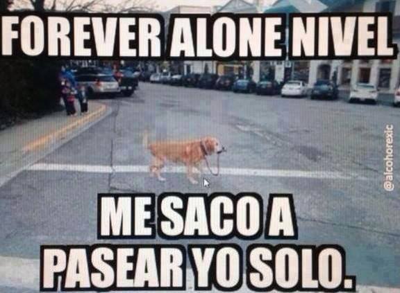 perro-forever-alone-me-saco-a-pasear-yo-solo
