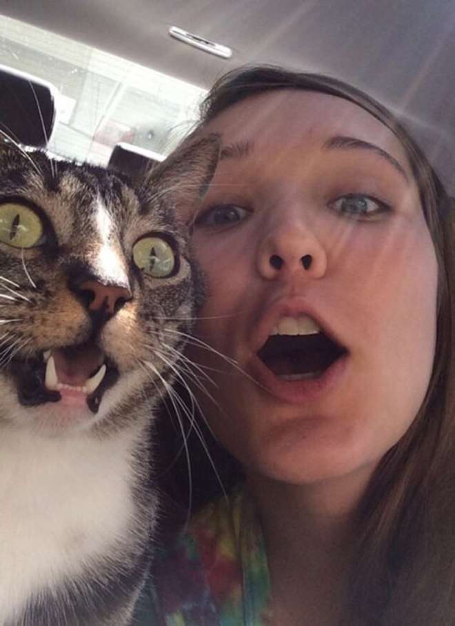 11 animales que odian las selfies