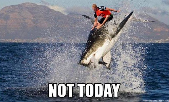 shark-meme-mick-fanning