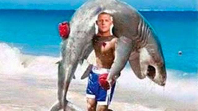 shark-meme-mick-fanning3