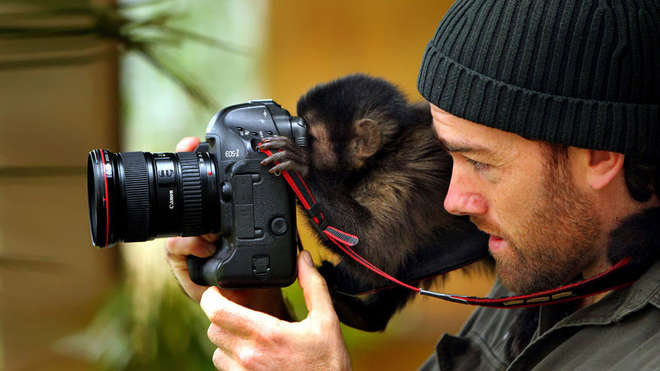 19 hermosos animalitos intentando usar una cámara