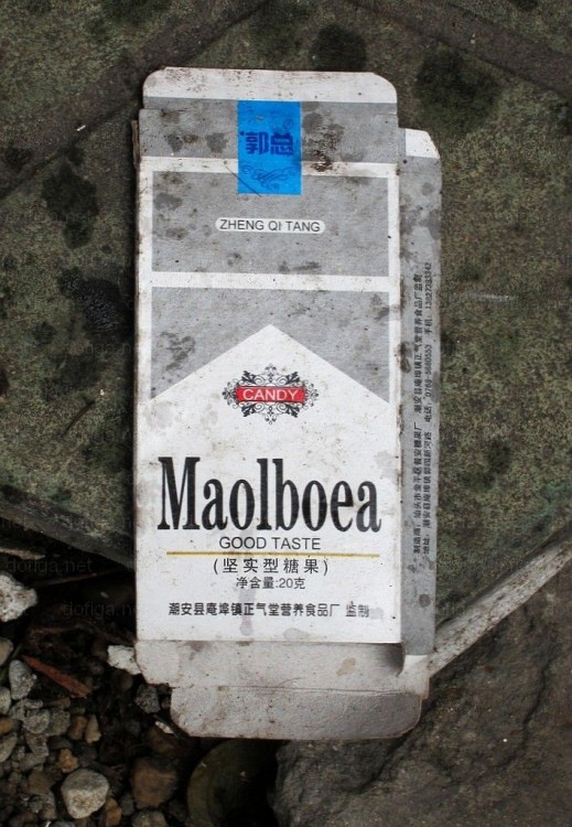 30-Marcas-piratas-de-los-chinos-14-519x750