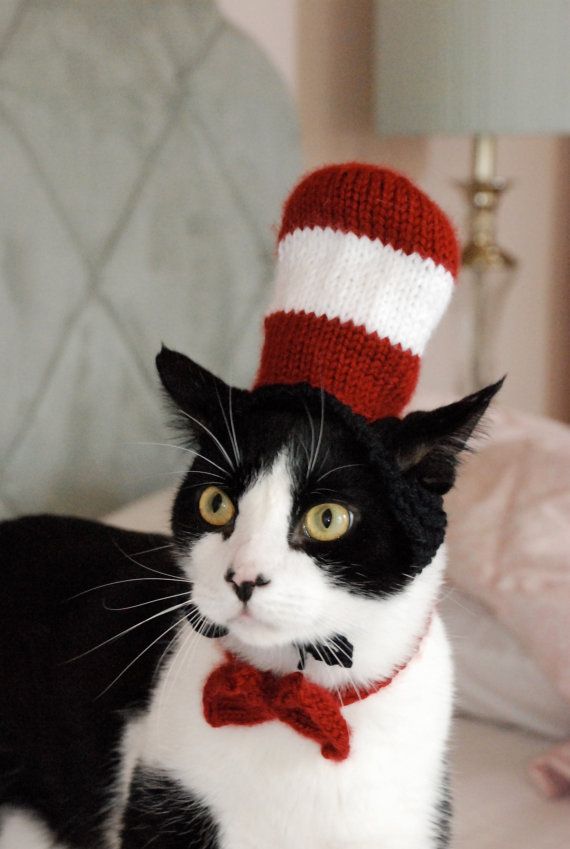 Cat-in-the-Hat-Halloween-Costume.jpg