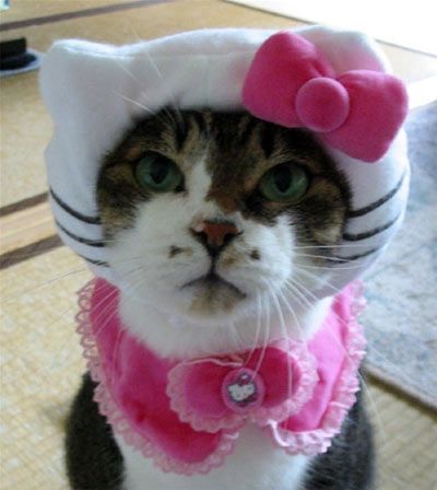 Hello-Kitty-Cat-Halloween-Costume.jpg