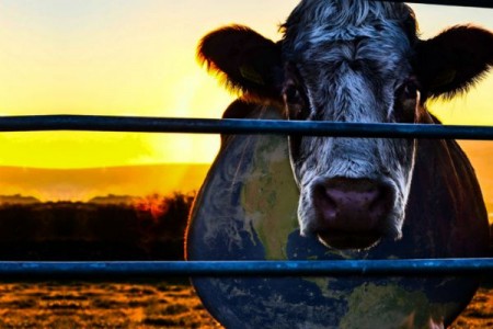 Cowspiracy, el documental que estremece al mundo y nos vuelve veganos