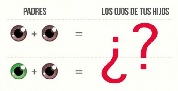 ¿Quieres saber de qué color serán los ojos de tu hijo? Descúbrelo con este gráfico.
