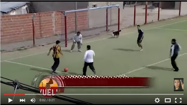 pase pelota