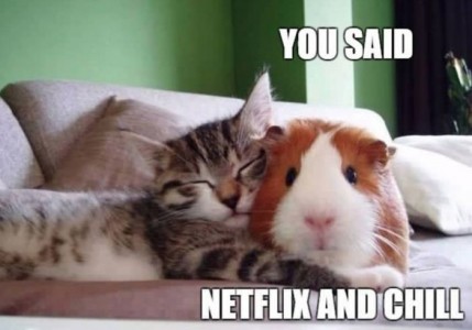 ¡Los mejores memes virales del 2015!