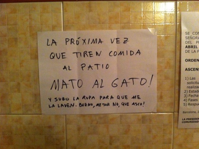 gato