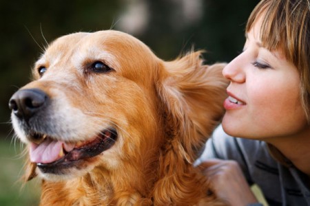 Dime cómo eres y te diré que mascota deberías tener