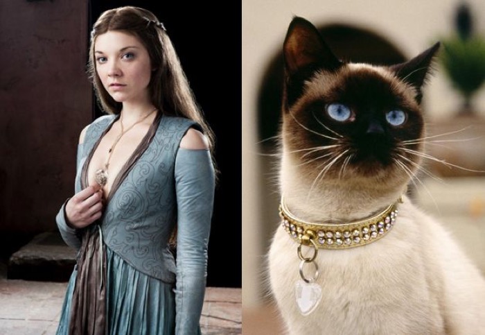 margaery