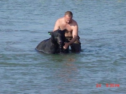 ¡Increíble! Un hombre se lanza al agua para salvar a un oso de 180 kilos.
