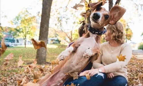 Las fotobombas más graciosas y divertidas del 2015.