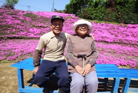 ¡Wow! Mira lo que este anciano japonés hace por su esposa ciega.