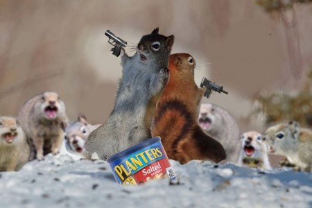 Los 15 mejores memes de dos increíbles ardillas. ¡La número 5 es la mejor!