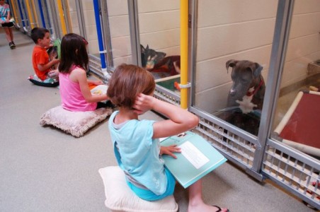 Estos niños practican sus habilidades en la lectura para calmar a perros en un refugio