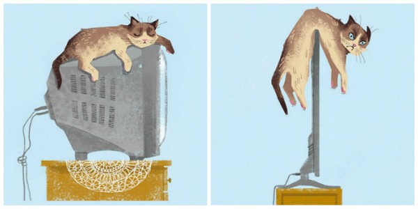 Antes y ahora: Divertidos cambios que ha tenido tu gato con la tecnología