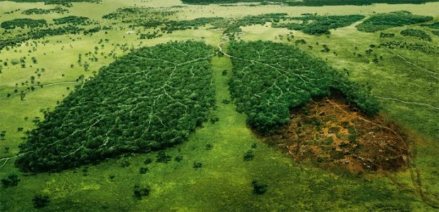 10 países de Latinoamérica y su puntuación de medio ambiente