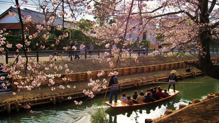 japon 5