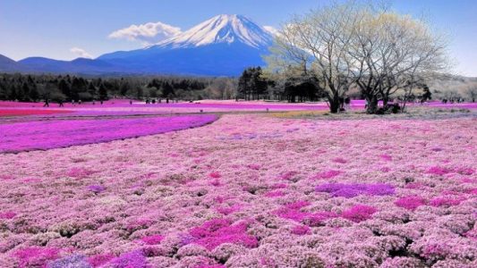 10 sorprendentes destinos naturales que debes visitar en Japón