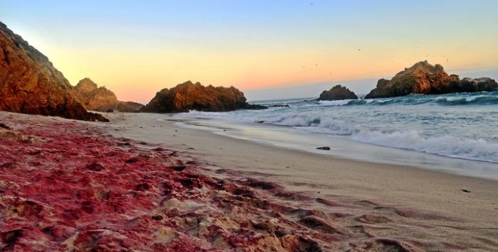 Pfeiffer-Beach2