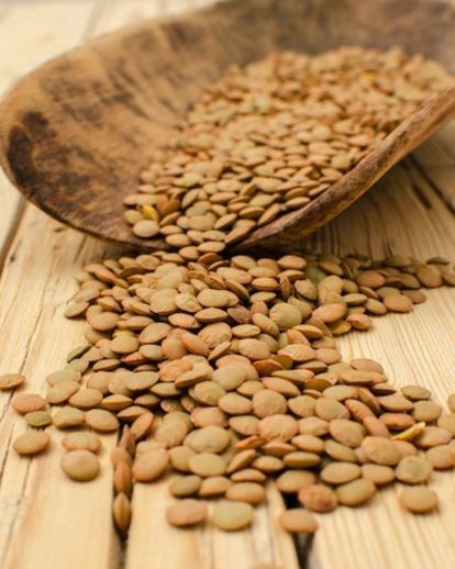 proteínas orgánicas 7