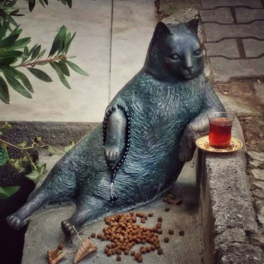 gato meme estatua 1