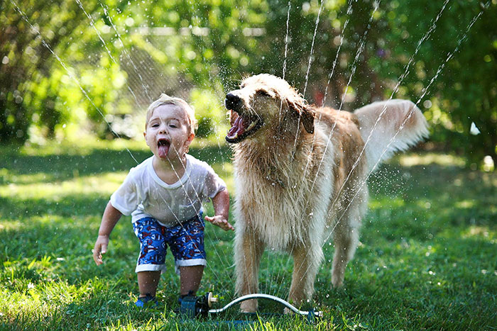 todos los niños deben crecer con un perro 12