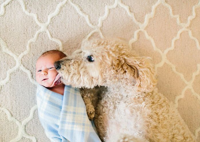 todos los niños deben crecer con un perro 13