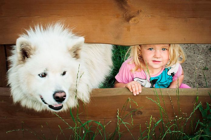 todos los niños deben crecer con un perro 17