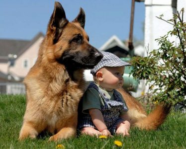 20 adorables fotos que muestran por qué todos los niños deben crecer con un perro