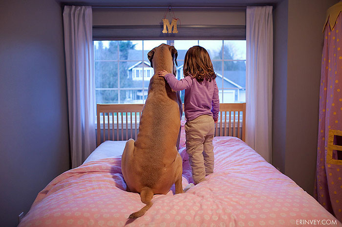 todos los niños deben crecer con un perro