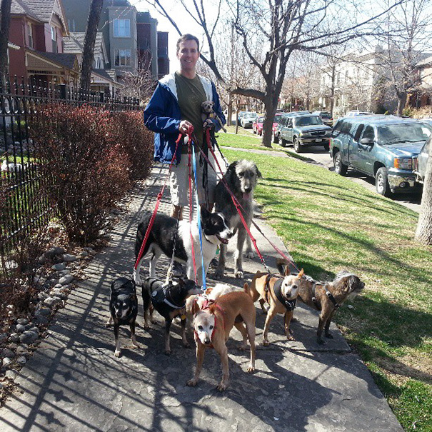 hombre adopta perros ancianos 18