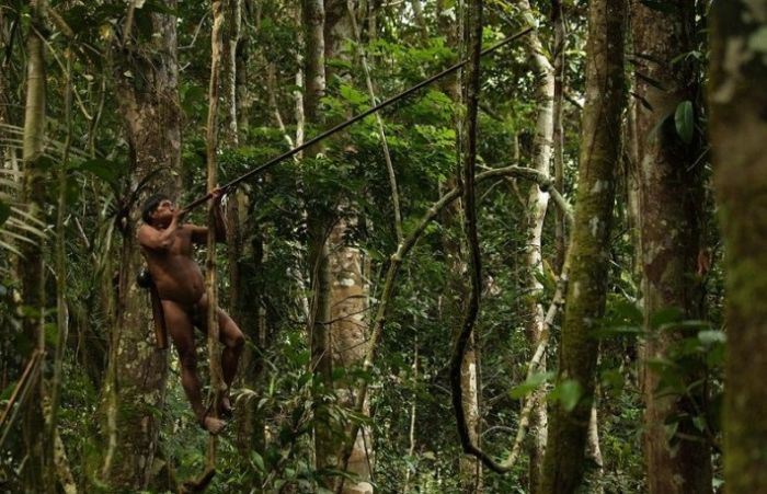 indigenas cazando