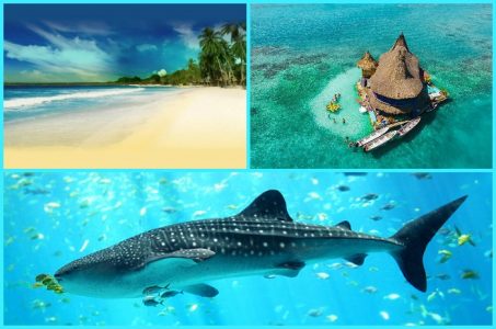 Las 10 islas más increíbles y paradisíacas de Colombia ?